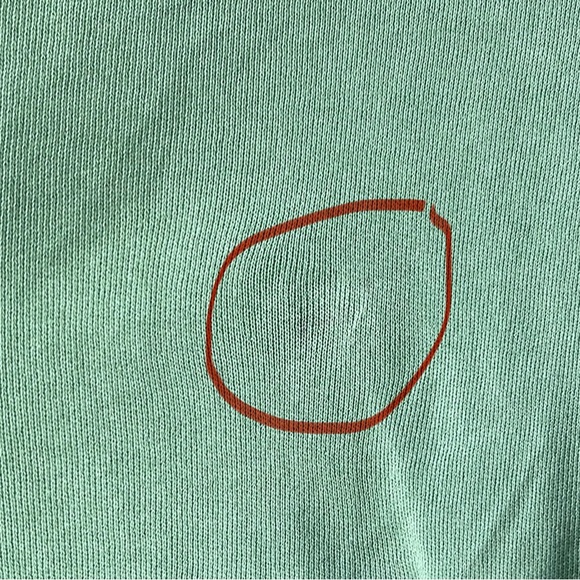 🆕aerie OVERSIZED DISTRESSED VINTAGE CREW GRAPHIC SWEATSHIRT - Picture 7 of 7